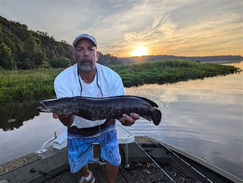 Snakeheads 20 Years Later: Virginia Now One of the Top.